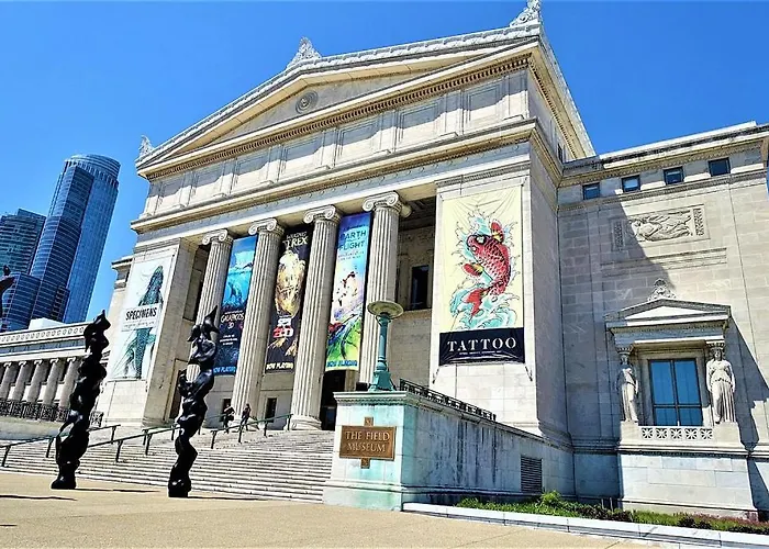 Elegant South Loop With Optional Parking And Gym Access Walk To Mccormick Place & Field Museum Chicago